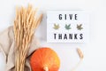 Abstract Thanksgiving flat lay composition