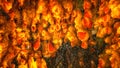 Abstract Three-dimensional Dark Orange Fiery Background. 3d Render Illustration