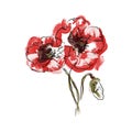 Abstract Three Red Poppy flowers. The effect of red gouache stains. Contemporary floral art style. Suitable for posters