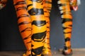 Abstract tiger stripes on human legs