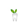 Abstract tooth with green leaves