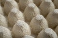 Molded pulp egg tray Royalty Free Stock Photo