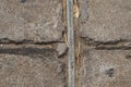 Abstract top view.Detailed cement floor with crack, visible steel pipe inside.