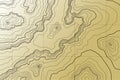 Abstract topographic map. Vector