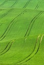 Abstract track trails in field