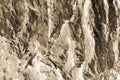 Abstract tree bark textured sepia filter background Royalty Free Stock Photo