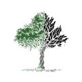 Abstract tree half leave and dry branch, spring autumn hand drawn vector illustration