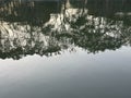 Abstract Tree Reflections on Calm Water Surface Royalty Free Stock Photo