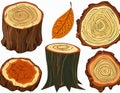 Abstract tree Stumps, wooden logs, leaves. Hand drawn illustration collection sets on digital art concept, Generative AI