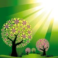 Abstract trees on green burst light background Royalty Free Stock Photo