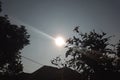 Abstract trees and house shade in the solar eclipse