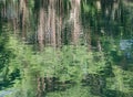 Abstract trees reflection on water