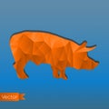Abstract triangular stamp orange pig on pure, simple, dotted, blue gradient background. Vector illustration. Can be used Royalty Free Stock Photo