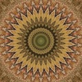 Abstract trippy background. Mandala, meditation, power, spirit, purity, energy