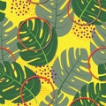 Abstract tropical background with monstera leaves and rings