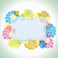 Abstract tropical frame