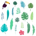 Abstract Tropical leaves set, hibiscus and toucan bird vector illustration