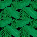 Abstract tropical palm  leaf seamless pattern background. Vector Illustration Royalty Free Stock Photo
