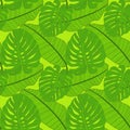 Abstract tropical palm  leaf seamless pattern background. Vector Illustration Royalty Free Stock Photo