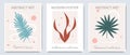 Set of abstract posters with tropical leaves. Botanical pattern. Modern fashionable minimalist style. Royalty Free Stock Photo