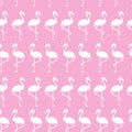 ABSTRACT TROPICAL TEXTURE. FLAMINGO HAND DRAW COMPOSITION OF SUMMER FEELING SEAMLESS VECTOR PATTERN. Royalty Free Stock Photo