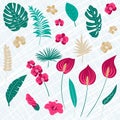 Abstract tropics Collection. Tropical exotic vector flowers and leaves. Set floral illustration. Collection for invitation to Royalty Free Stock Photo