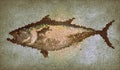 Abstract tuna fish stone mosaic texture background no 3