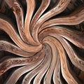 Abstract Twirled Wood Illustration