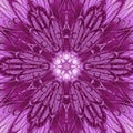 Abstract ultra violet mandala background design