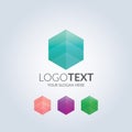 Abstract unique hexagon shape symbol logo. Template for your design