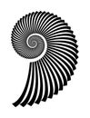 Abstract vector Archimedean spiral, shell symbol shape on a white background. Isolated spiral, template for design, hypnotic