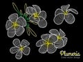 Abstract vector art lined design (white yellow Plumeria flower) Royalty Free Stock Photo