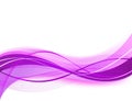 Abstract vector background illustration art design pink purple curve wave