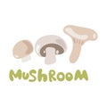 Abstract vector cartoon icon illustration for whole ripe mushroom champignon, slice fungi. Mushroom icon consisting of Royalty Free Stock Photo