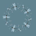 Abstract vector dragonfly s and dandelion seeds frame