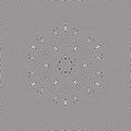 Luxury Concentric Stripe Line Flower Optical Illusion Effect Line Art.Geometric B/W Seamless Pattern Vector Object Background