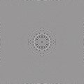 Luxury Concentric Stripe Line Flower Optical Illusion Effect Line Art.Geometric B/W Seamless Pattern Vector Object Background