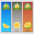 Vector illustration for ripe fruit green pomelo