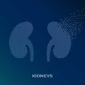 Abstract Vector Illustration Of Human Kidneys On Blue Background.