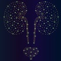 Abstract vector illustration kidneys human. Kidneys on blue backgorund. Low poly kidney consisting of abstract points