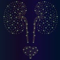 Abstract vector illustration kidneys human. Kidneys on blue backgorund. Low poly kidney consisting of abstract points