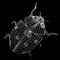 Abstract vector illustration of ladybug or ladybird isolated on black background. Ink drawing, graphic style. Outline sketch Royalty Free Stock Photo