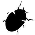 Abstract vector illustration of ladybug or ladybird silhouette isolated on white background. Ink drawing, graphic style Royalty Free Stock Photo