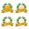 Abstract vector illustration logo for whole ripe fruit yellow melon Royalty Free Stock Photo