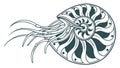 Abstract nautilus shell with flowing tentacles, intricate marine art, vector design Generative AI Royalty Free Stock Photo