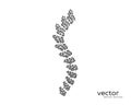 Abstract vector illustration of spinal column.