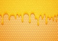 Abstract Vector Illustration with Sweet Flow Down Honey and Honeycombs. Delicious Food Background Royalty Free Stock Photo