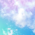 Abstract vector neon pastel background. Purple and teal blue sky, toned image