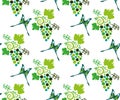 Vector ornamental vine grapes decorative background. Ethnic seamless pattern ornament. Vector pattern Royalty Free Stock Photo