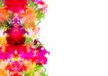 Abstract vector paint multi color isolated background design. illustration vector design Royalty Free Stock Photo